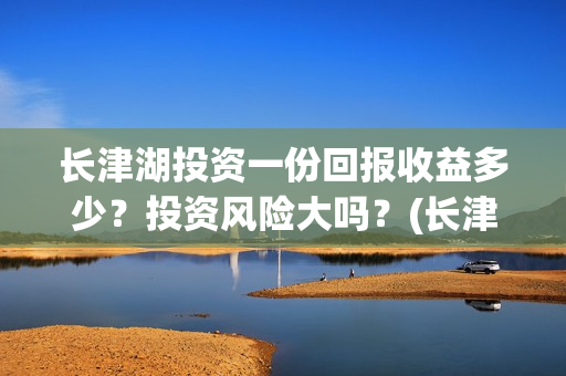 长津湖投资一份回报收益多少？投资风险大吗？(长津湖最大投资方)