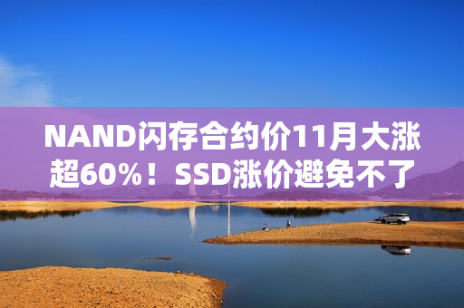 NAND闪存合约价11月大涨超60%！SSD涨价避免不了