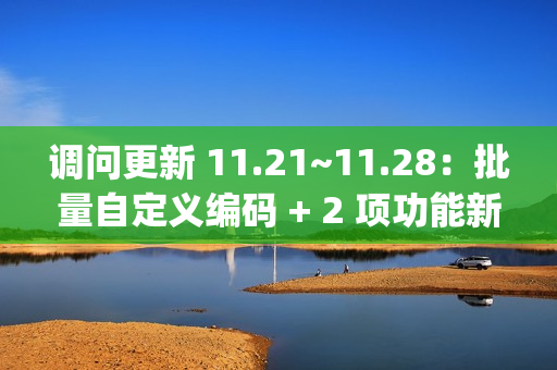 调问更新 11.21~11.28：批量自定义编码 + 2 项功能新增 + 4 项功能优化 + 7 项 BugFix