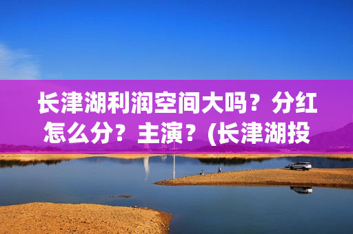 长津湖利润空间大吗？分红怎么分？主演？(长津湖投资收益有多少)