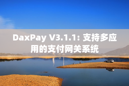 DaxPay V3.1.1: 支持多应用的支付网关系统