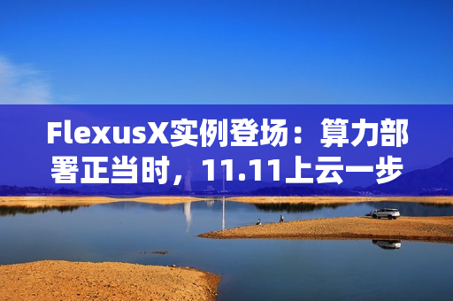 FlexusX实例登场：算力部署正当时，11.11上云一步到位