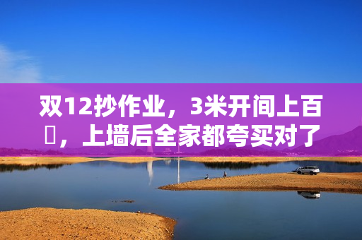 双12抄作业，3米开间上百吋，上墙后全家都夸买对了