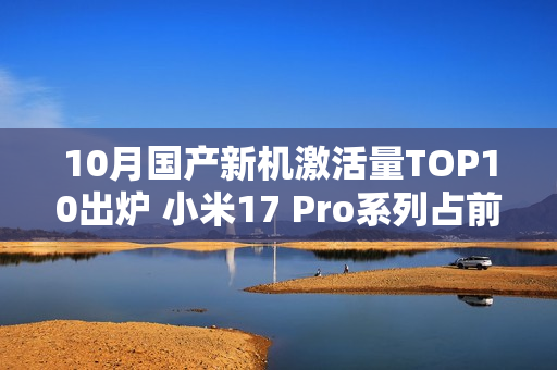 10月国产新机激活量TOP10出炉 小米17 Pro系列占前二
