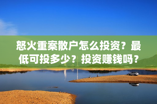 怒火重案散户怎么投资？最低可投多少？投资赚钱吗？(怒火重案投资者的收益具体有哪些呢?)