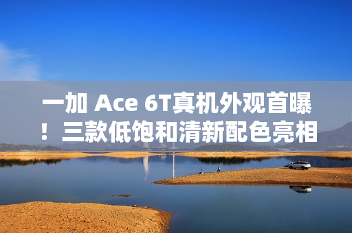 一加 Ace 6T真机外观首曝！三款低饱和清新配色亮相