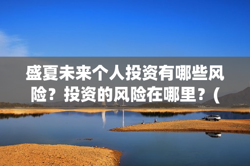 盛夏未来个人投资有哪些风险？投资的风险在哪里？(盛夏未来个人投资多少钱)