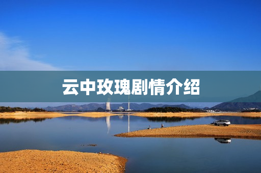 云中玫瑰剧情介绍