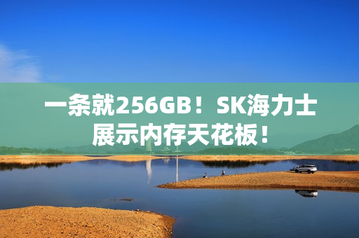 一条就256GB！SK海力士展示内存天花板！