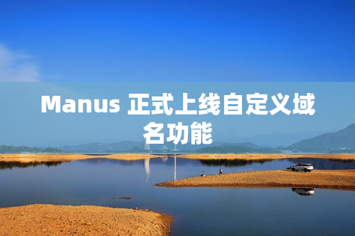 Manus 正式上线自定义域名功能