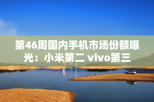 第46周国内手机市场份额曝光：小米第二 vivo第三
