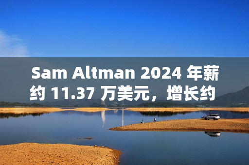 Sam Altman 2024 年薪约 11.37 万美元，增长约 50%