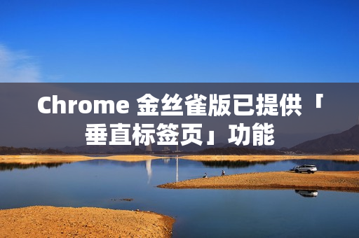 Chrome 金丝雀版已提供「垂直标签页」功能