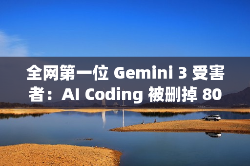 全网第一位 Gemini 3 受害者：AI Coding 被删掉 800GB 重要文件