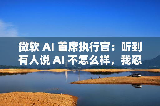 微软 AI 首席执行官：听到有人说 AI 不怎么样，我忍不住笑了