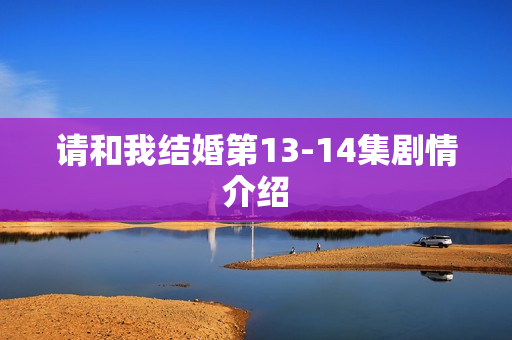 请和我结婚第13-14集剧情介绍