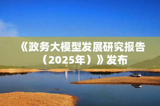 《政务大模型发展研究报告（2025年）》发布