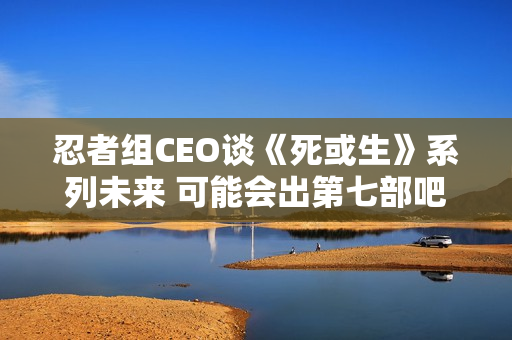 忍者组CEO谈《死或生》系列未来 可能会出第七部吧