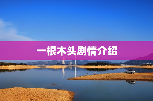 一根木头剧情介绍