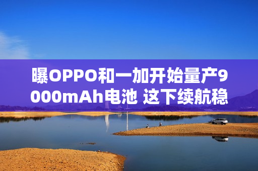 曝OPPO和一加开始量产9000mAh电池 这下续航稳了！
