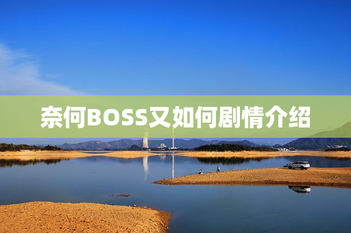 奈何BOSS又如何剧情介绍