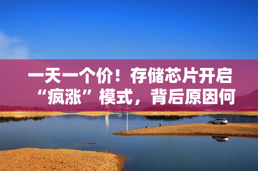 一天一个价！存储芯片开启“疯涨”模式，背后原因何在？