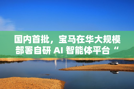国内首批，宝马在华大规模部署自研 AI 智能体平台“盖亚”