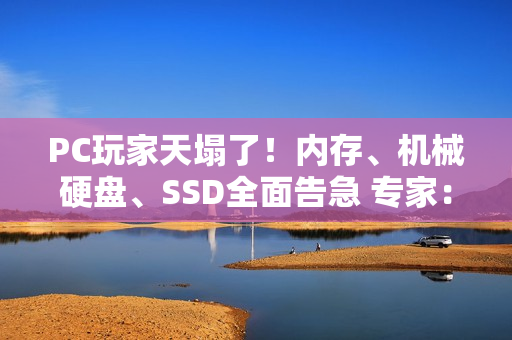 PC玩家天塌了！内存、机械硬盘、SSD全面告急 专家：将涨价十年