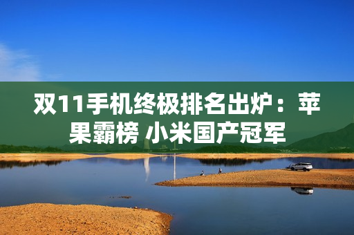 双11手机终极排名出炉：苹果霸榜 小米国产冠军