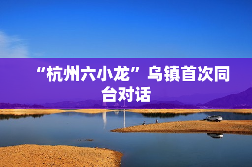 “杭州六小龙”乌镇首次同台对话