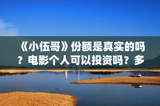 《小伍哥》份额是真实的吗？电影个人可以投资吗？多少起投呢？(小伍哥是谁呀)