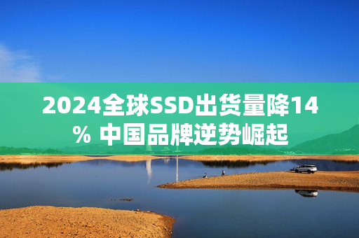 2024全球SSD出货量降14% 中国品牌逆势崛起