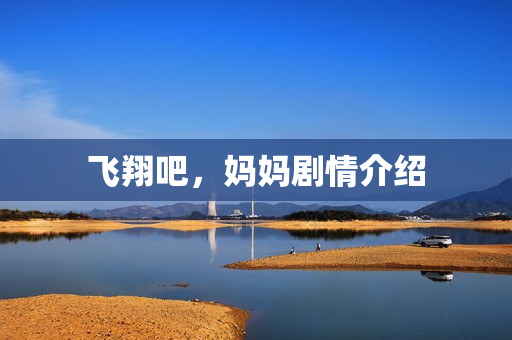 飞翔吧，妈妈剧情介绍