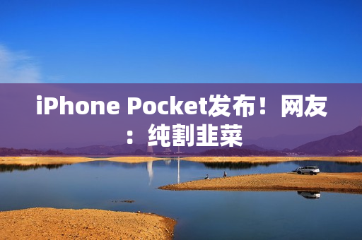 iPhone Pocket发布！网友：纯割韭菜