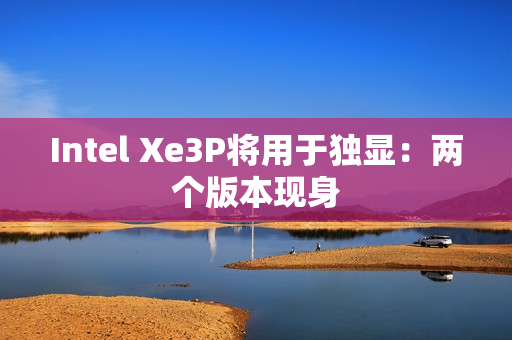 Intel Xe3P将用于独显：两个版本现身