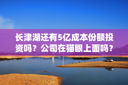 长津湖还有5亿成本份额投资吗？公司在猫眼上面吗？(长津湖45亿)