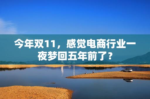 今年双11，感觉电商行业一夜梦回五年前了？