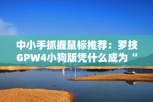 中小手抓握鼠标推荐：罗技GPW4小狗版凭什么成为“小手玩家的终极选择”？