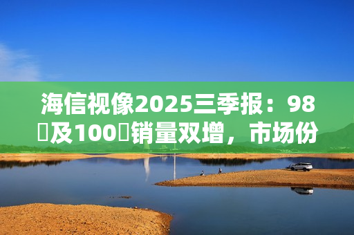 海信视像2025三季报：98吋及100吋销量双增，市场份额持续领跑