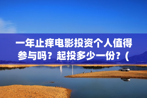 一年止痒电影投资个人值得参与吗？起投多少一份？(电影一年之痒演员表)