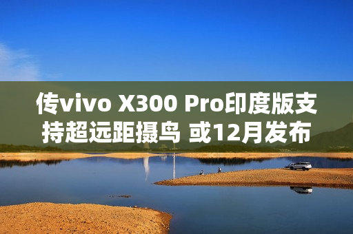 传vivo X300 Pro印度版支持超远距摄鸟 或12月发布