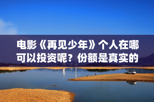 电影《再见少年》个人在哪可以投资呢？份额是真实的吗？多少起投的呢？(再见少年电影啥意思)