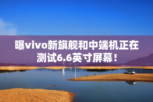 曝vivo新旗舰和中端机正在测试6.6英寸屏幕！