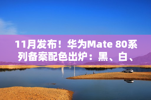 11月发布！华为Mate 80系列备案配色出炉：黑、白、紫、金、银全都有