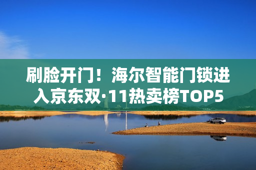 刷脸开门！海尔智能门锁进入京东双·11热卖榜TOP5