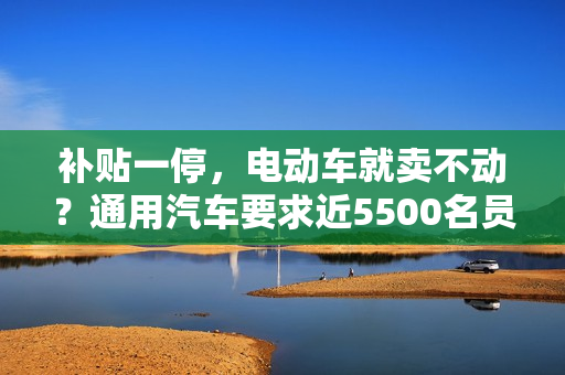 补贴一停，电动车就卖不动？通用汽车要求近5500名员工无薪休假