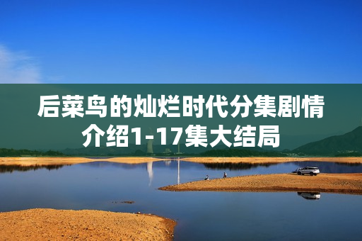 后菜鸟的灿烂时代分集剧情介绍1-17集大结局