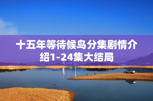 十五年等待候鸟分集剧情介绍1-24集大结局