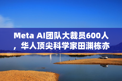 Meta AI团队大裁员600人，华人顶尖科学家田渊栋亦在其中