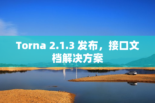 Torna 2.1.3 发布，接口文档解决方案